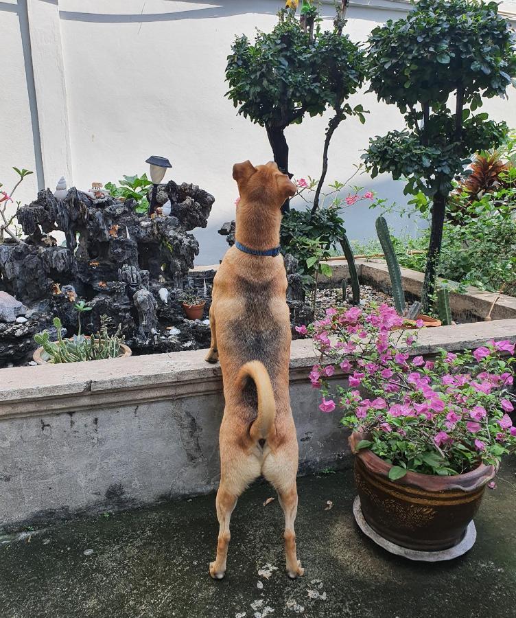Kinn Stay50 Bangkok Eksteriør bilde